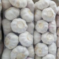 /msite/products/detail/productid/57631205/id/677584.html